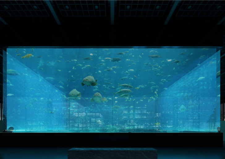 AQUARIUM