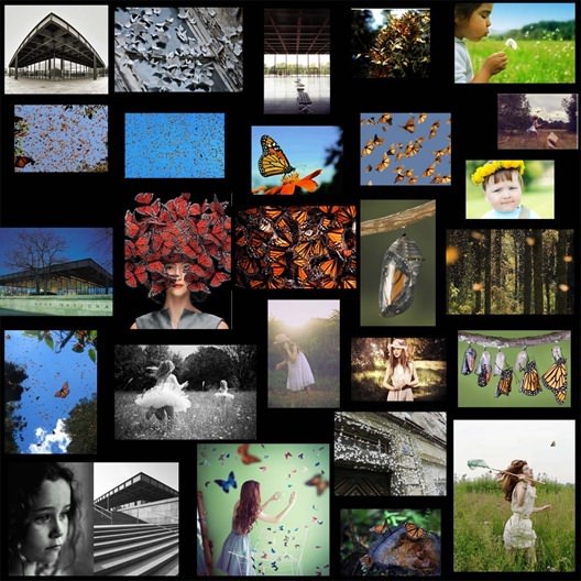 01-05_butterfly collage