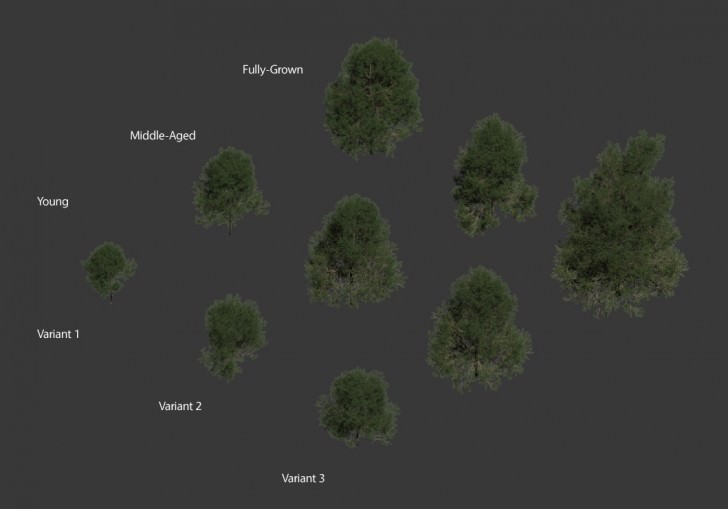 laubwerk-plants-kit-age-and-variants