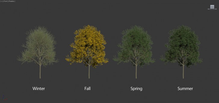 laubwerk-plants-kit-seasons