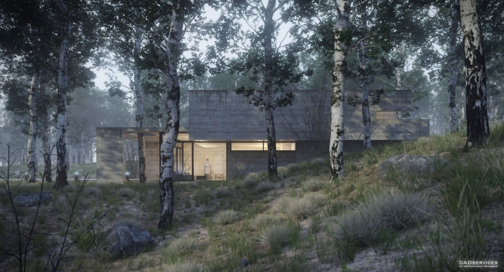 30-house-in-the-forest-view-1-juan-k-torres