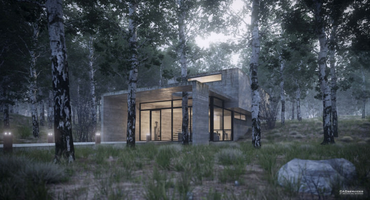 32-house-in-the-forest-view-2-juan-k-torres