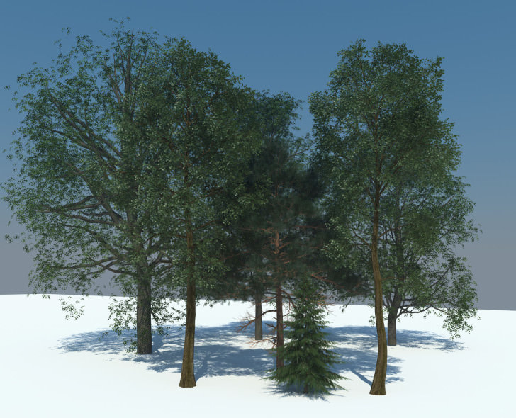 Astridhof-trees