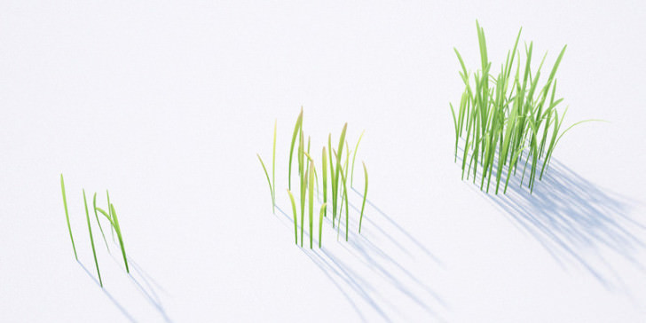 06_08_grass