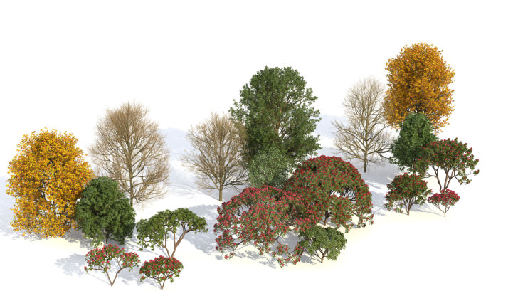 kit_freebie_trees_in_a_row_b_vray