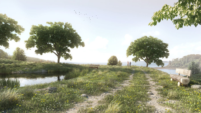 The Meadow