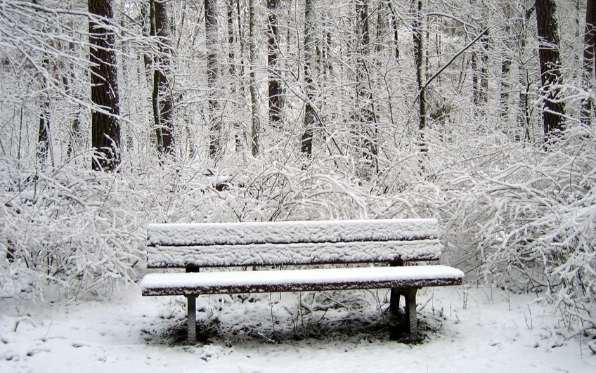 Snow flow. Snow flow