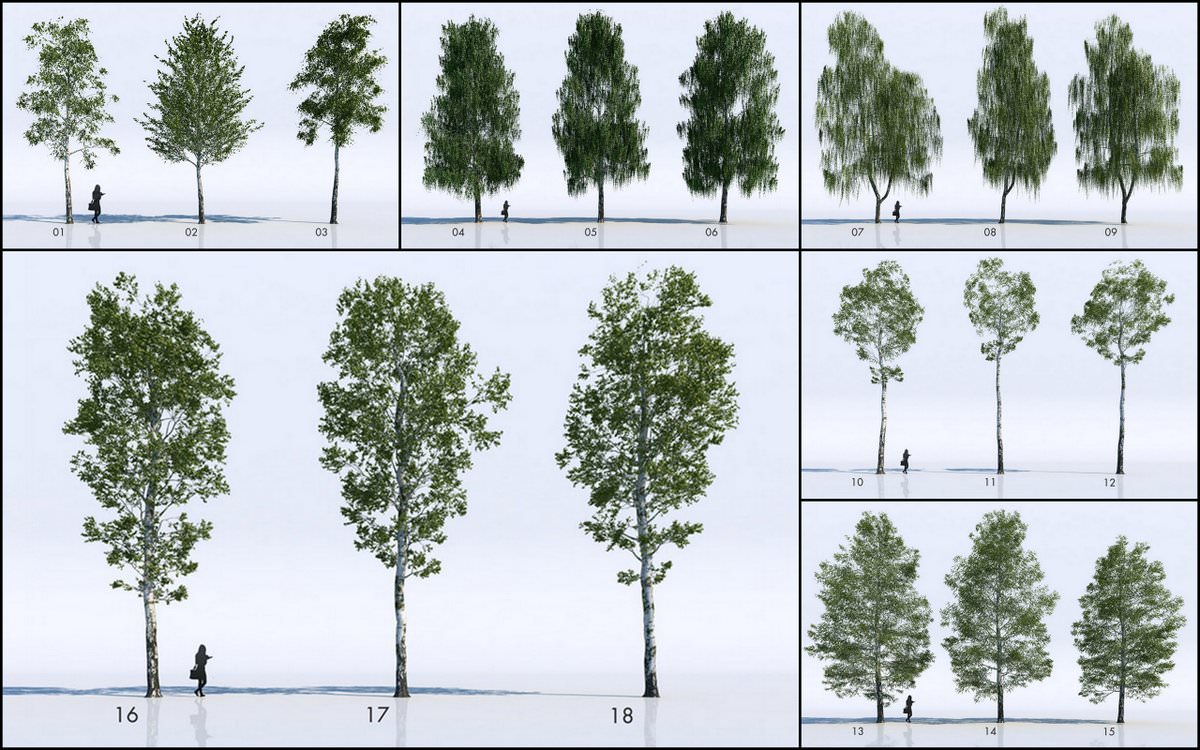 vray proxy trees 3ds max