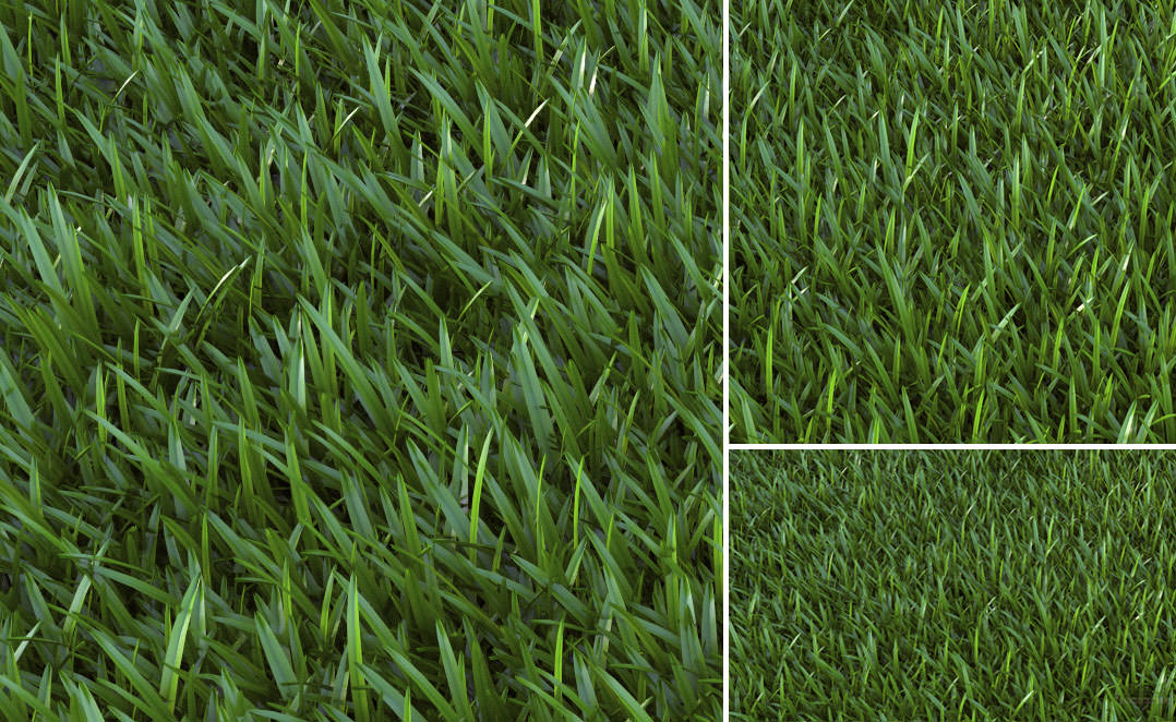 grass vismat sketchup