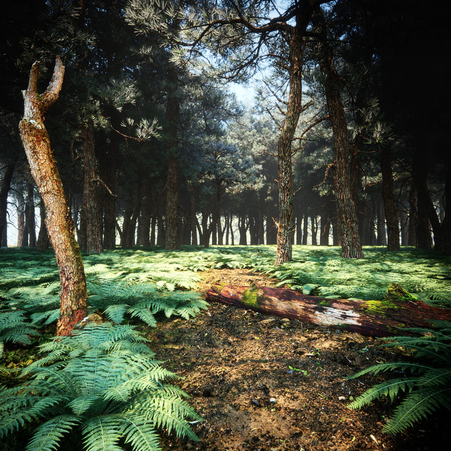 Forest 3d Rendering Fern-Forest-01 - Ronen Bekerman - 3D Architectural Visualization ...